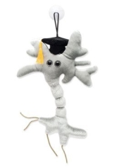 GIANT Microbes Stofftier / Plüsch Figur: Brain Cell / Gehirnzelle Schulabschluss (Neuron) - 1