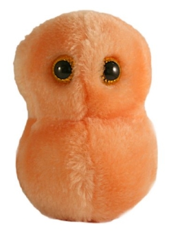 GIANT Microbes Stofftier / Plüsch Figur: Ear Ache / Ohrenschmerzen (Streptococcus Pneumoniae) - 1