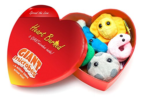 GIANTmicrobes Heart Burned Gift Box of Mini Microbes by Giant Microbes - 1