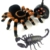 Halloween fergesteuerte Spinne und Skorpion